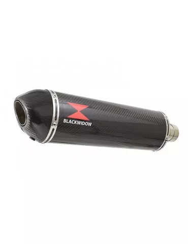 CB1300 S F SC54 2003-2015 Exhaust tube de raccord &  oval En Carbone Silencieux + carbon tip 400mm