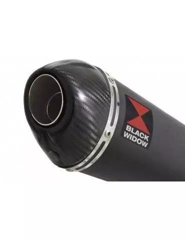 CBR 650 F CBR650F 2014-2017 Décatalyseur Ligne complète & Silencieux Ovale Noir En Inox + En Carbone 200mm