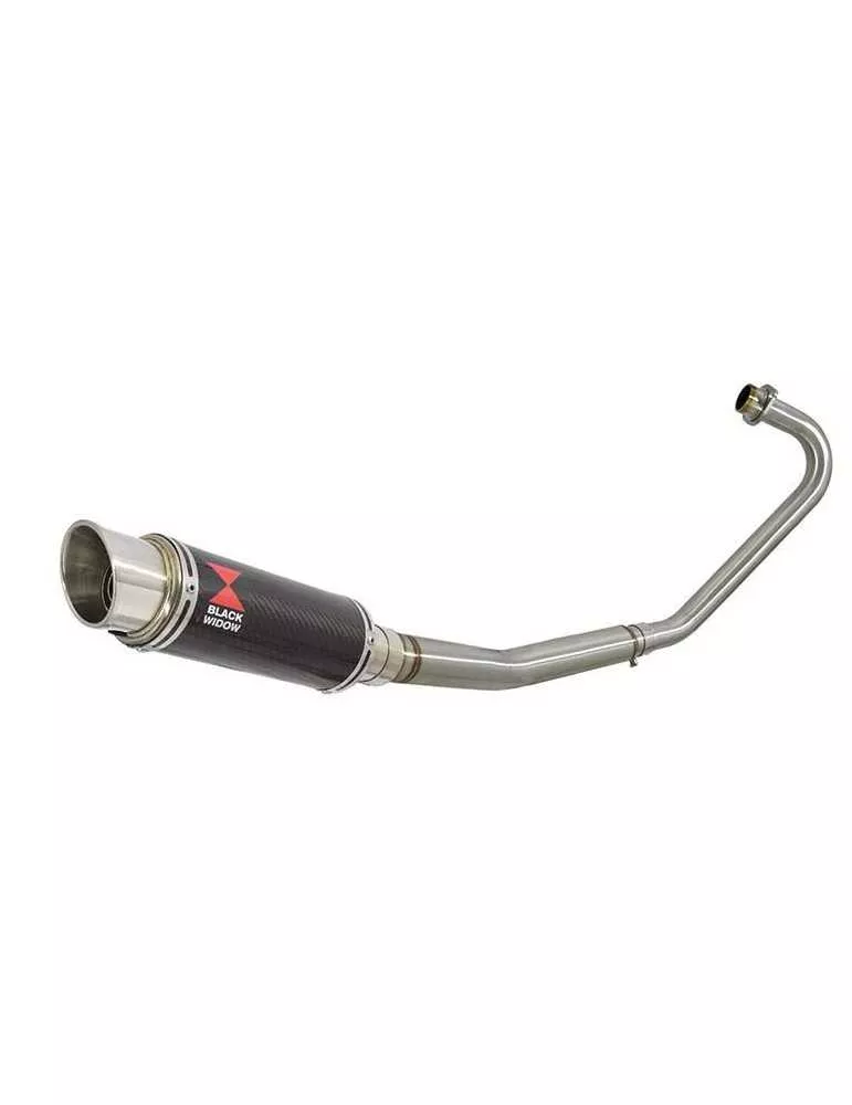 CBF125 2008-2017 Ligne complète & Silencieux Rond GP Style En Carbone & Titanium 230mm
