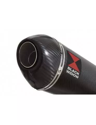 CB1300 S F SC54 2003-2015 Exhaust tube de raccord &  oval En Carbone Silencieux + carbon tip 200mm