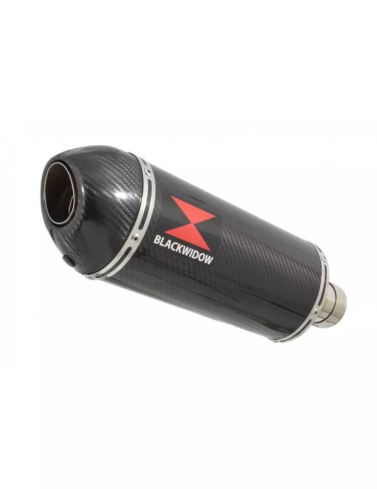 ZX-11 ZX11 4-1 Ligne complète & Silencieux Ovale En Carbone 300mm