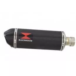 ZX-11 ZX11 4-1 Ligne complète & Silencieux Ovale En Carbone 300mm