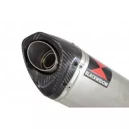 CB 650 F CB650F 2014-2017 Décatalyseur Ligne complètes & Tri Ovale Stainless Silencieux + Carbon Tip 250mm