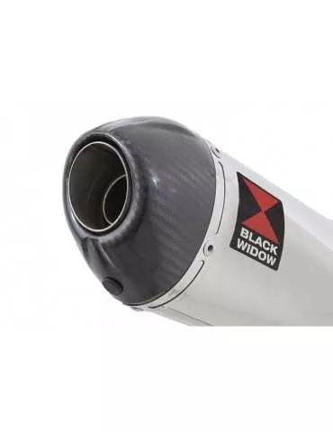 CBR 750 CBR750F HURRICANE 87-88 4-1 Ligne complète & Silencieux Ovale En Inox + Carbone Tip 200mm