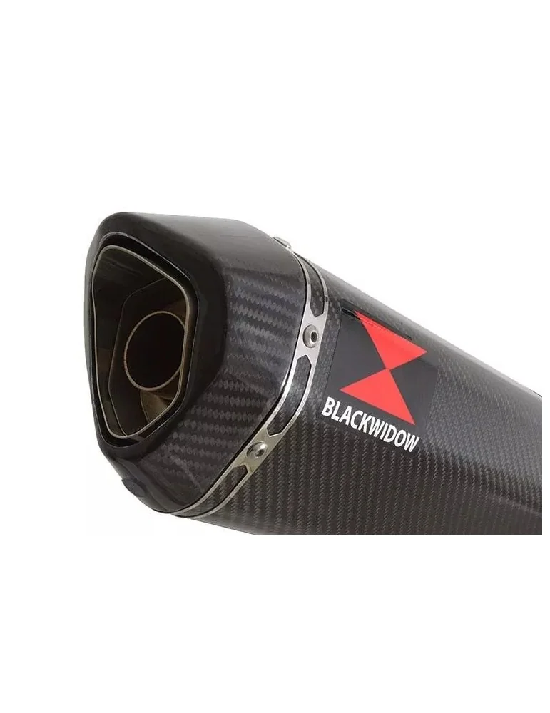 CBR1100 CBR 1100 XX Blackbird 4-1 Ligne complète & Silencieux Hexagonale En Carbone + Carbone Tip 300mm