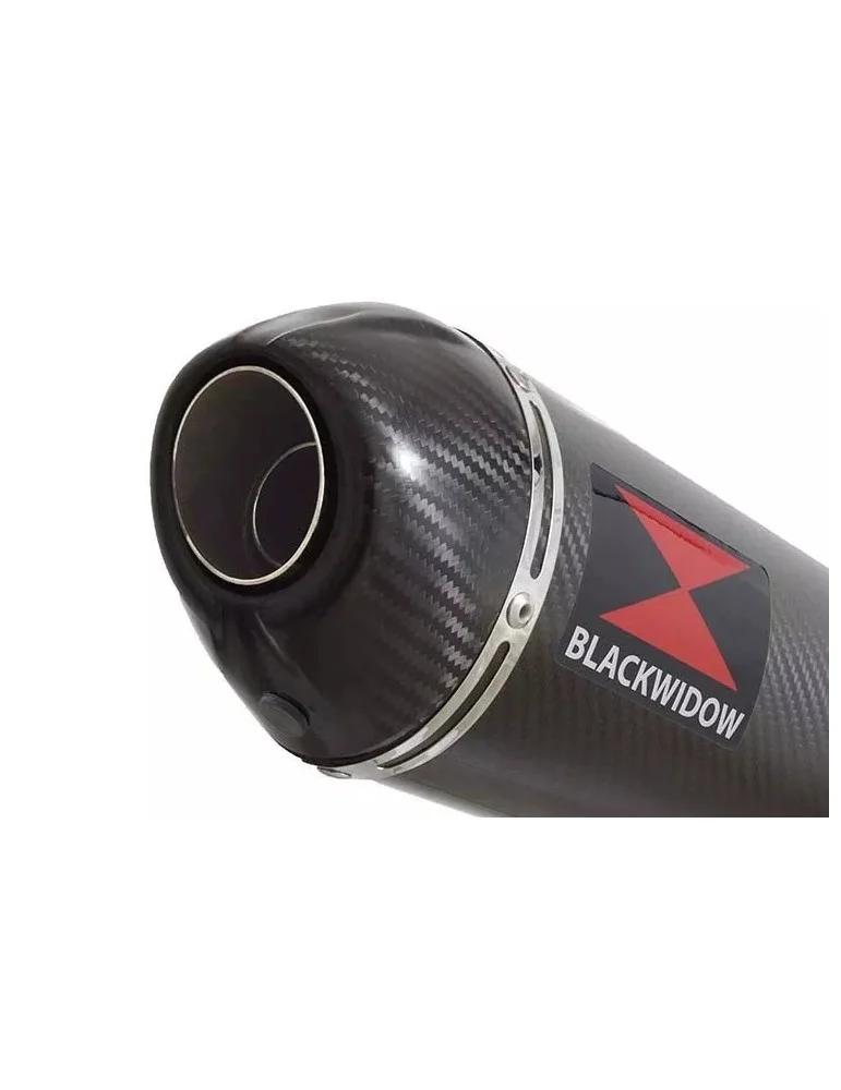 CBR1100 CBR 1100 XX Blackbird 4-1 Ligne complète & Silencieux Ovale En Carbone + Carbone Tip 400mm