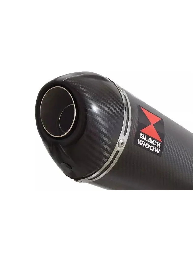CBR1100 CBR 1100 XX Blackbird 4-1 Ligne complète & Silencieux Ovale En Carbone + Carbone Tip 200mm