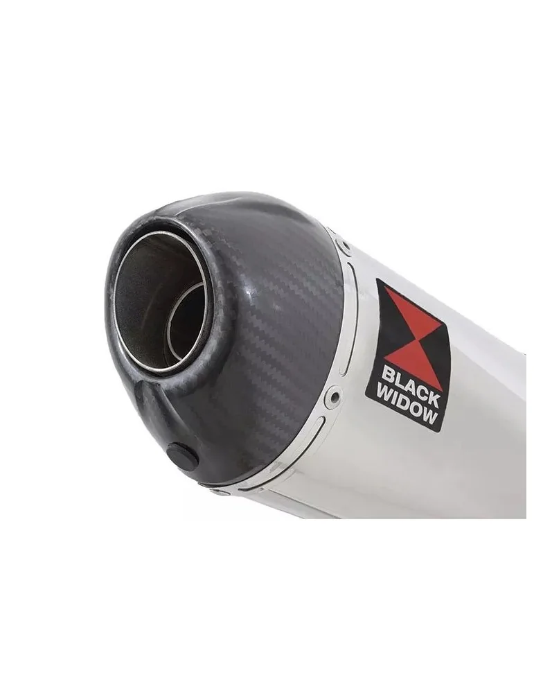CBR1100 CBR 1100 XX Blackbird 4-1 Ligne complète & Silencieux Ovale En Inox + Carbone Tip 200mm