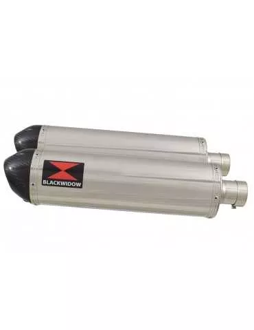 CBR1100 CBR 1100 XX Blackbird 4-2 Tube de raccord et Silencieux Ovale Inox + Carbone tip 400mm