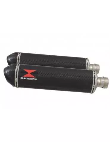 CBR1100 CBR 1100 XX Blackbird 4-2 exhaust tube de raccords et Silencieux Ovale En Carbone + Carbon Tip 400mm