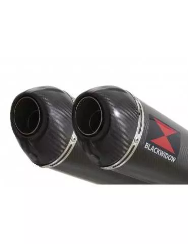 CBR1100 CBR 1100 XX Blackbird 4-2 exhaust tube de raccords et Silencieux Ovale En Carbone + Carbon Tip 400mm