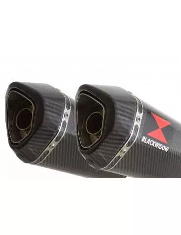 CBR1100 CBR 1100 XX Blackbird 4-2 Tube de raccord et Silencieux Hexagonale en Carbone 300mm