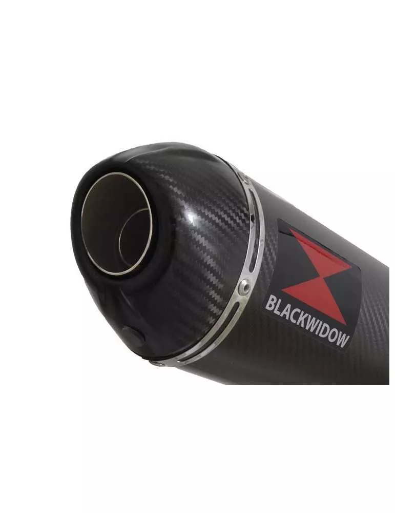 CB600 (PC41) Hornet 07-13 Silencieux & tube de raccord Et Silencieux Ovale En Carbone & En Carbone Tip 400mm