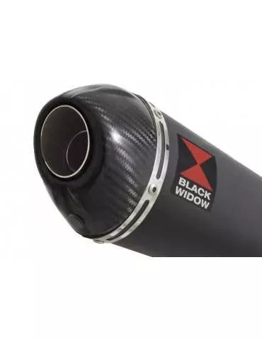 CB1300 S F SC54 2003-2015 Exhaust tube de raccord &  Oval Noir Silencieux En Inox + En Carbone Tip 200mm