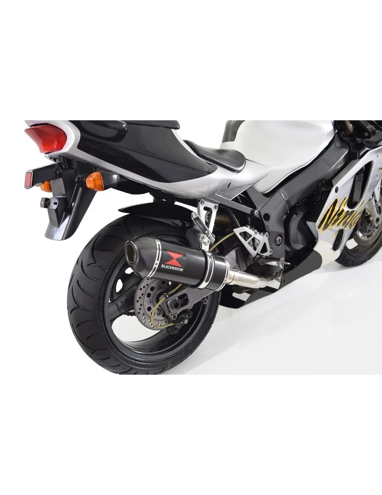ZXR750 ZXR 750 J K L M 91-95 Ligne complète & Silencieux Ovale Noir En Inox + Canule En Carbone 300mm