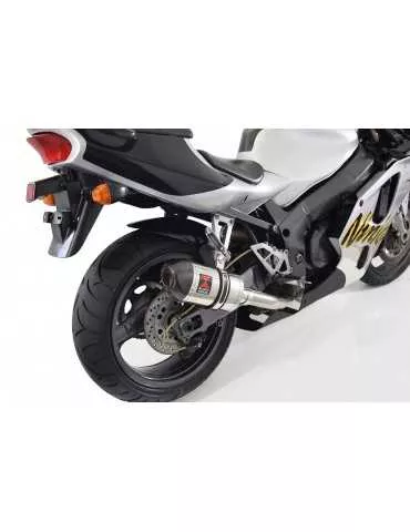 ZXR750 ZXR 750 J K L M 91-95 Ligne complète & Silencieux Ovale En Inox + Canule En Carbone 200mm