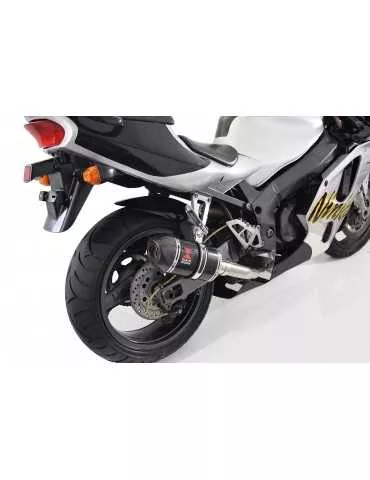 ZXR750 ZXR 750 J K L M 91-95 Ligne complète & Silencieux Ovale Noir En Inox + Canule En Carbone 200mm