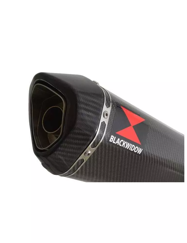 CB600 (PC41) Hornet 07-13 Silencieux & tube de raccord  Et Silencieux Hexagonale En Carbone  En Carbone 300mm