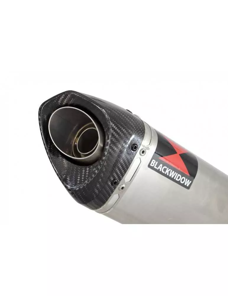 CB600 (PC41) Hornet 07-13 Silencieux & tube de raccord  Et Silencieux Tri Ovale Stainless En Carbone 250mm