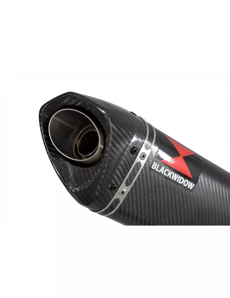 CB600 (PC41) Hornet 07-13 Silencieux & tube de raccord  Et Silencieux Tri Ovale En Carbone & Carbone 250mm