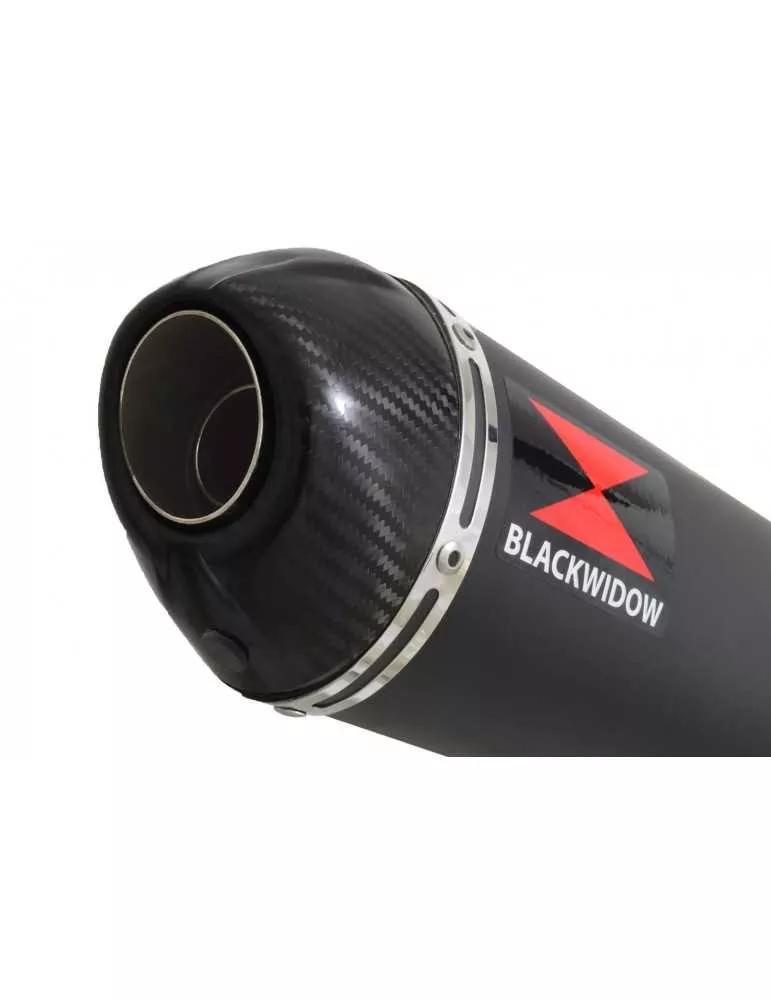 CB600 (PC41) Hornet 07-13 Silencieux & tube de raccord & Ovale Noir Silencieux En Inox + Carbone 400mm
