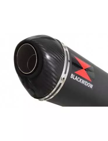 CB600 (PC41) Hornet 07-13 Silencieux & tube de raccord & Ovale Noir Silencieux En Inox + Carbone 300mm