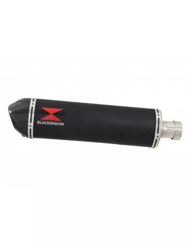 ZX-11 4-1 Ligne complète & Silencieux Ovale Noir En Inox + Canule En Carbone 400mm