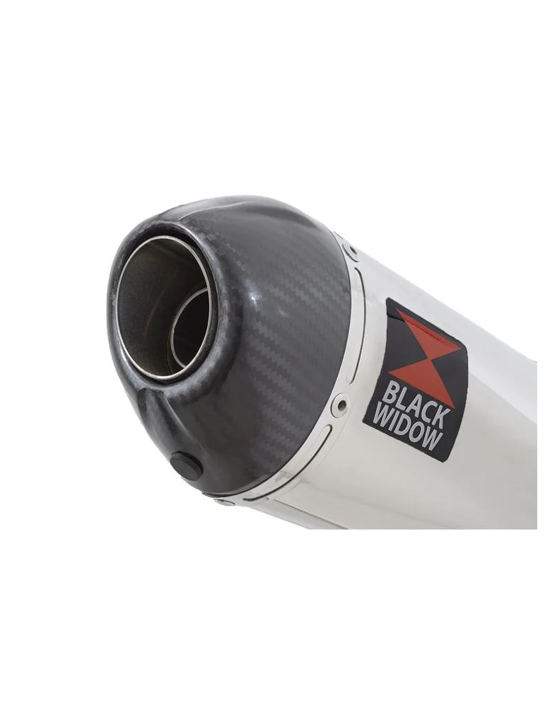 ZX6R ZX-6R 2009/2016 Tube de raccord & Silencieux Ovale En Inox + Canule en Carbone 200mm