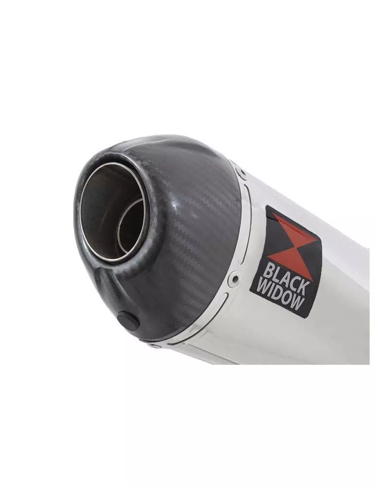 ZX6R ZX-6R 2009/2016 Tube de raccord & Silencieux Ovale En Inox + Canule en Carbone 200mm