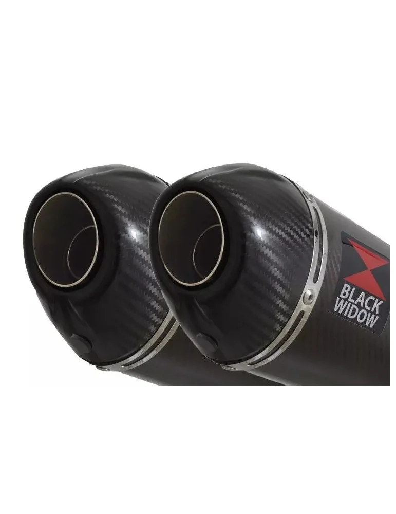 Kawasaki KLV 1000 2004-2007 Silencieux Kit / Silencieux Ovale En Carbone & Canule en Carbone 200mm