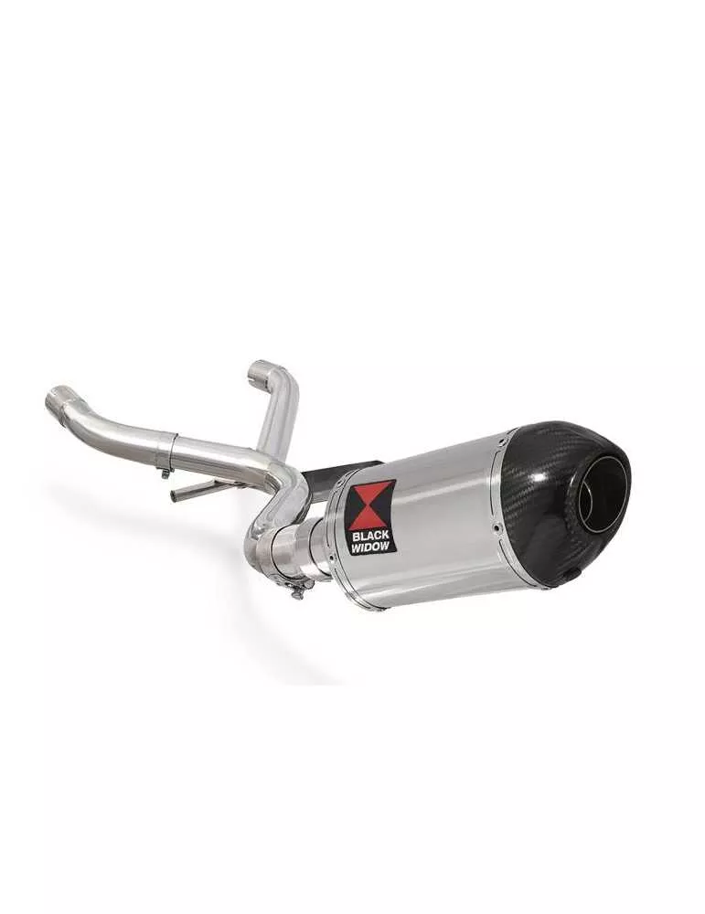 R1150 GS Décatalyseur exhaust collector & Ovale Silencieux En Inox + carbon tip 200mm
