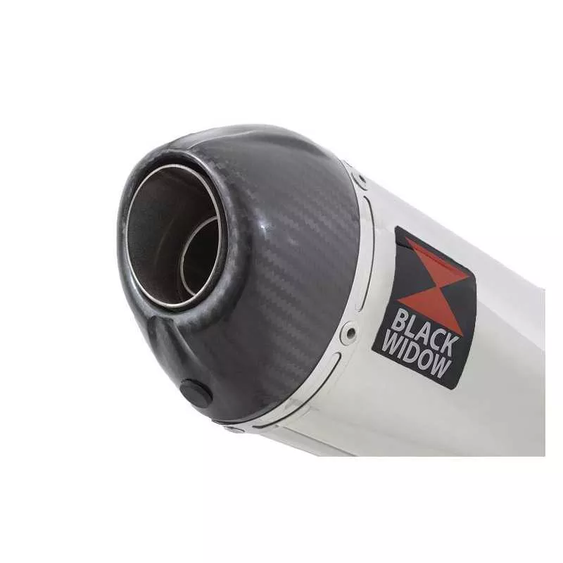 ZX6R ZX-6R 636 2013/2020 Tube de raccord & Silencieux Ovale En Inox + Canule en Carbone 200mm