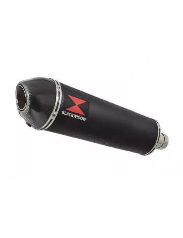 Z750 ZR750 Z750S 04 05 06 Tube de raccord et Silencieux Ovale Noir En Inox + Canule En Carbone 400mm