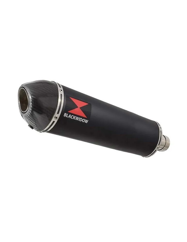 Z750 Z750R Z750L 07-14 Tube de raccord et Silencieux Ovale Noir En Inox + Canule En Carbone 400mm
