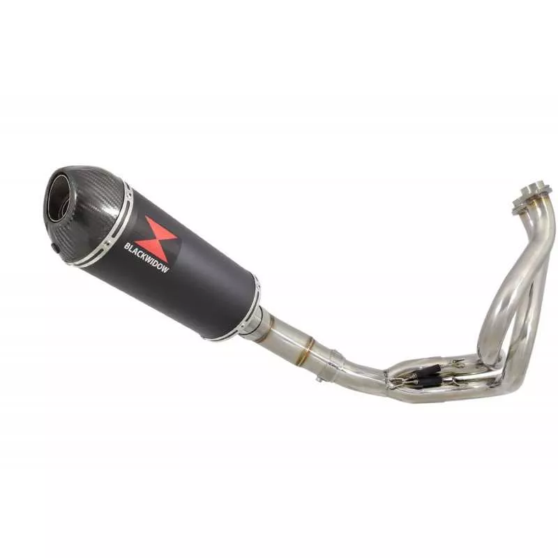 Ninja 650 2017 Decata Passage Bas Ligne complète + Silencieux Ovale Noir en Inox & Canule en Carbone 300mm