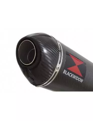 Z750 ZR750 Z750S 04 05 06 Tube de raccord et Silencieux Ovale En Carbone + Canule en Carbone 300mm