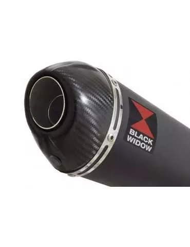 Z750 Z750R Z750L 07-14 Tube de raccord et Silencieux Ovale Noir En Inox + Canule En Carbone 200mm