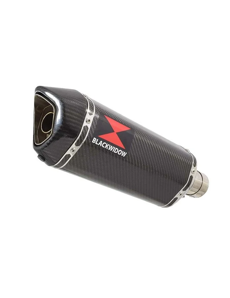 Z750 Z750R Z750L 07-14 Tube de raccord et Silencieux Hexagonale En Carbone 300mm