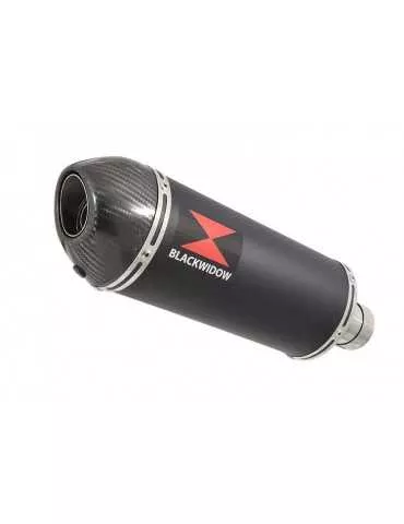 Z750 Z750R Z750L 07-14 Tube de raccord et Silencieux Ovale Noir En Inox + Canule En Carbone 300mm