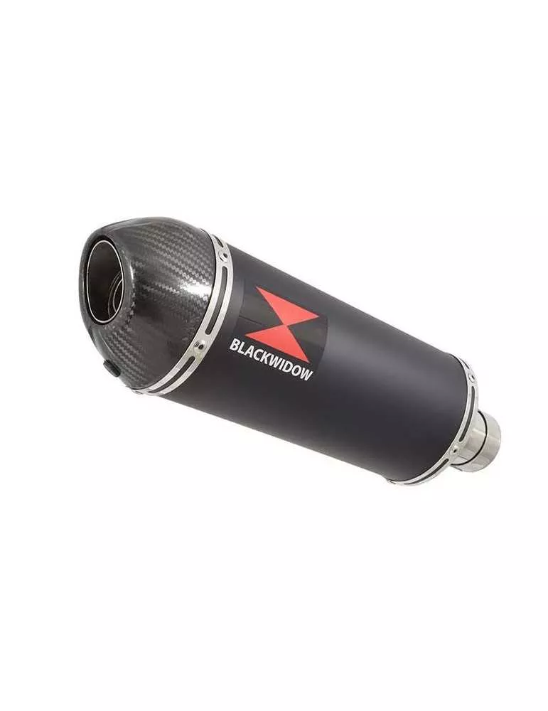 Z750 Z750R Z750L 07-14 Tube de raccord et Silencieux Ovale Noir En Inox + Canule En Carbone 300mm