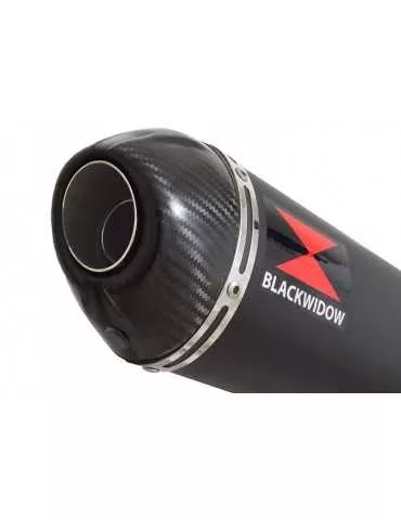 Z750 Z750R Z750L 07-14 Tube de raccord et Silencieux Ovale Noir En Inox + Canule En Carbone 300mm