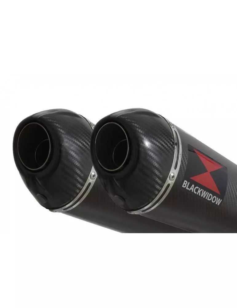 Z1000 2010-2017 4-2 Tube de raccords & Silencieux Ovale En Carbone + Canule en Carbone 300mm