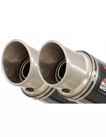 Z1000 2010-2017 4-2 Tube de raccords & Silencieux Rond En Carbone + Canule en Titane 230mm