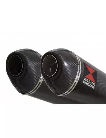 Z1000 2010-2017 4-2 Tube de raccords & Silencieux Ovale En Carbone + Canule en Carbone 200mm