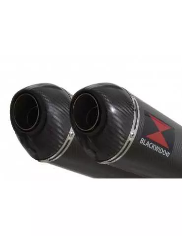 Z1000 2010-2017 4-2 Decata Ligne complète / Silencieux Ovale En Carbone 300mm