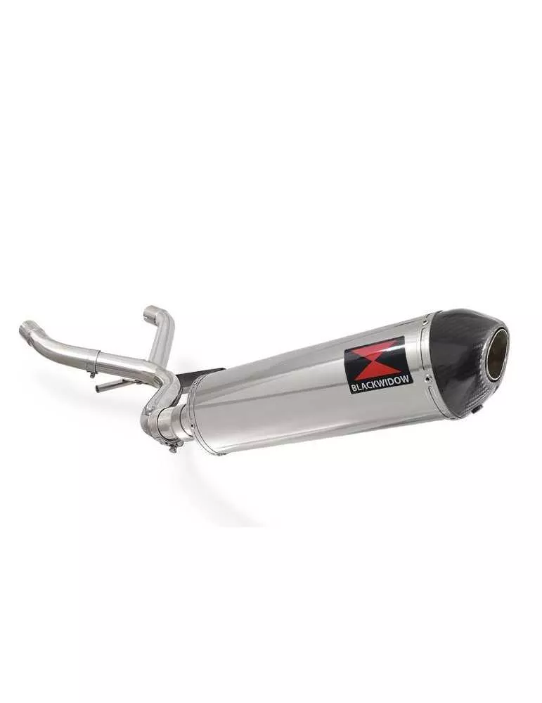 R1150 GS Collecteur  Décatalyseur & Ovale Silencieux En Inox + carbon tip 400mm