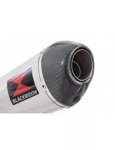R1150 GS  Echappement Sport tube de raccord et Ovale Silencieux En Inox + carbon tip 400mm