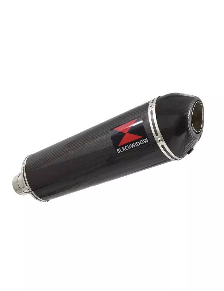 R1150 GS  Echappement Sport tube de raccord et Ovale En Carbone Silencieux + carbon tip 400mm