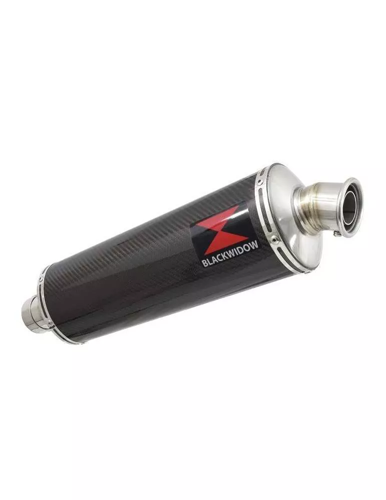 R1150 GS Echappement Sport tube de raccord et Ovale En Carbone Silencieux 400mm