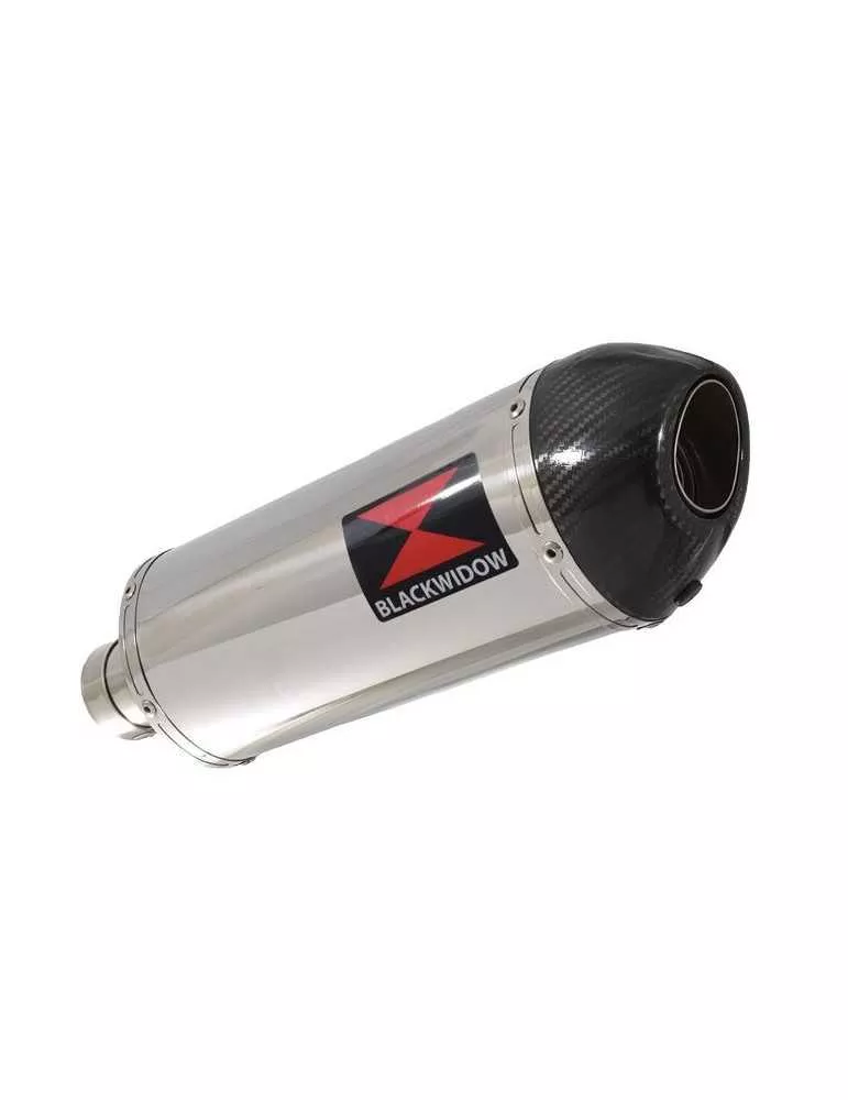 R1150 GS Echappement Sport tube de raccord et Ovale Silencieux En Inox + carbon tip 300mm